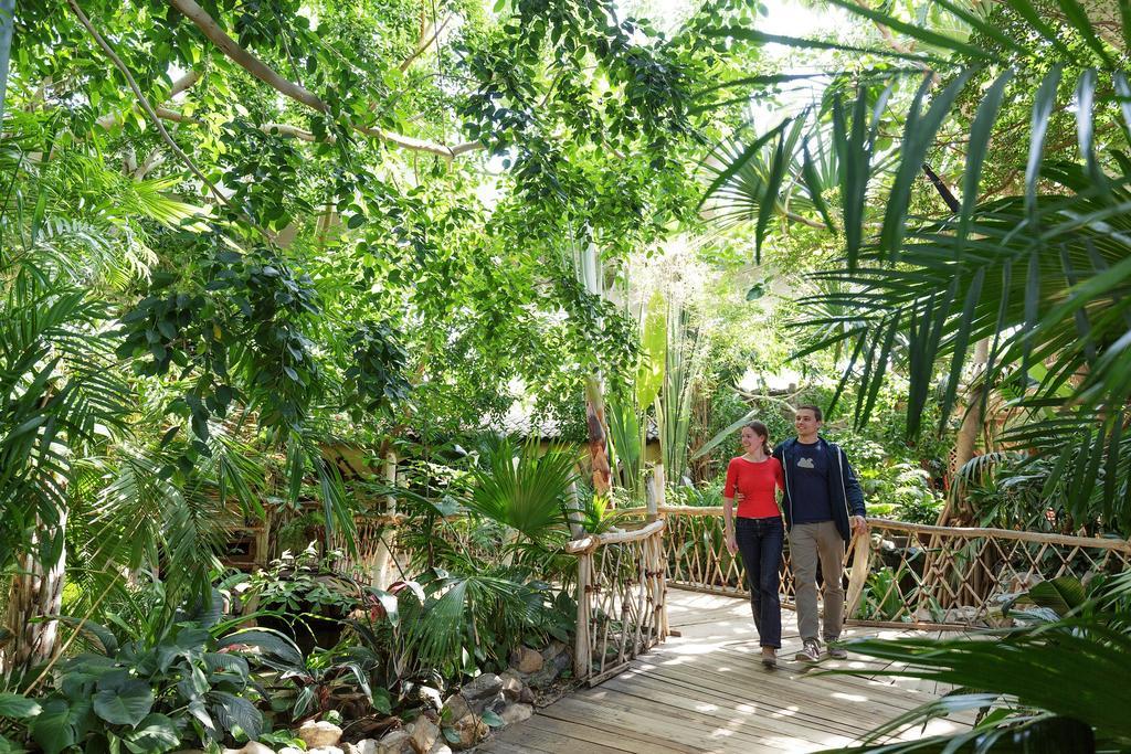 Center Parcs Erperheide Hotel Peer Ngoại thất bức ảnh